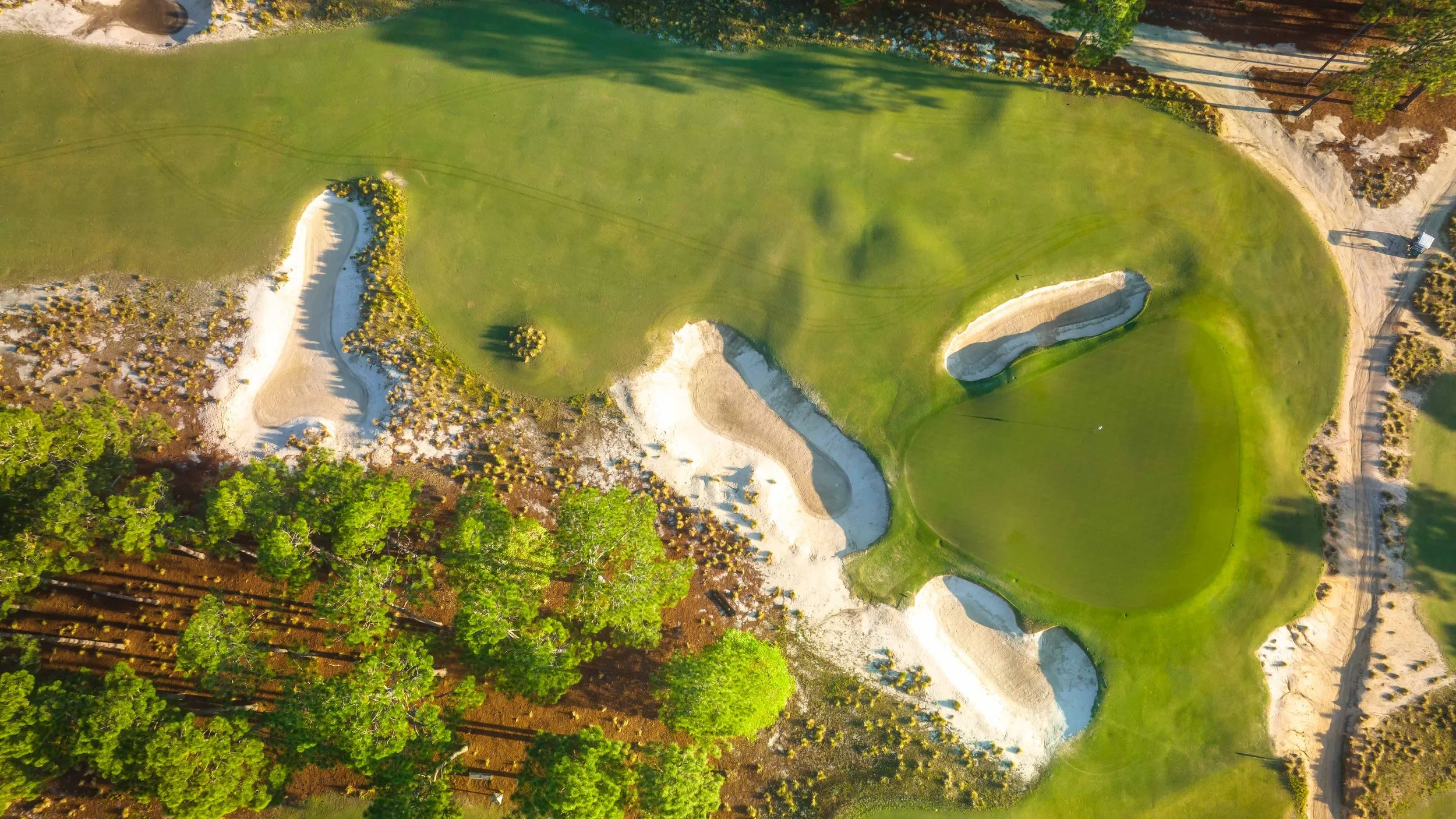 Pinehurst No. 2 — PJKoenig Golf Photography
